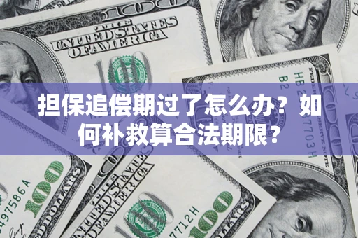 北京担保追偿期过了怎么办？如何补救算合法期限？