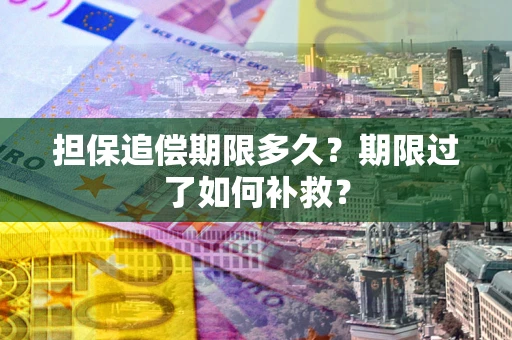 北京担保追偿期限多久？期限过了如何补救？