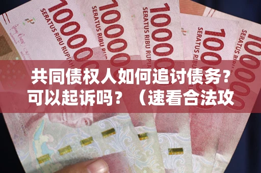 北京共同债权人如何追讨债务？可以起诉吗？（速看合法攻略）